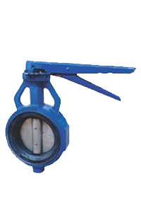 Butterfly Valve