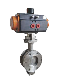 Double offset Butterfly Valve