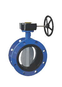 Double Flange Butterfly Valve