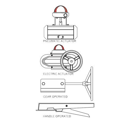 Double offset Butterfly Valve Diagram