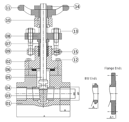 Forged Steel Gate Valve Diagram Flanged Ends / Screwed Ends / Buttweld Ends / Scoketweld Ends