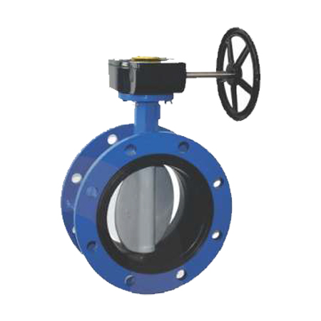 Double Flange Butterfly Valve